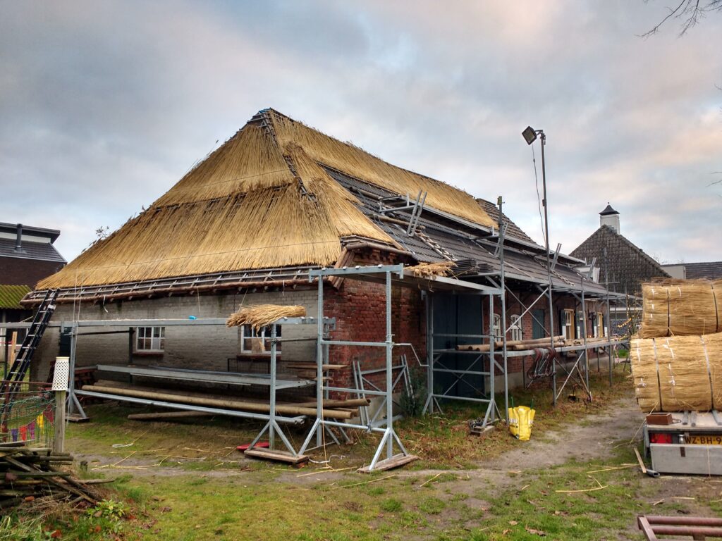 Boerderij de Voort | ecologische verbouwing rieten dak in de Kempen