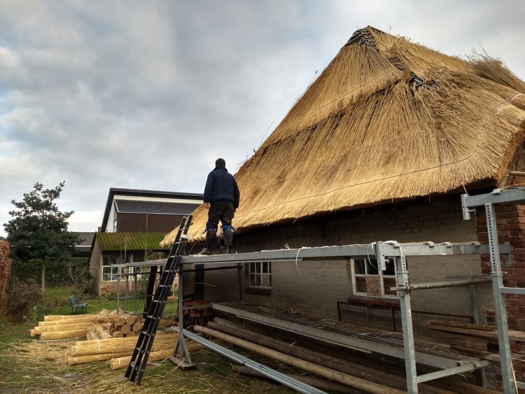 Boerderij de Voort | ecologische verbouwing rieten dak in de Kempen