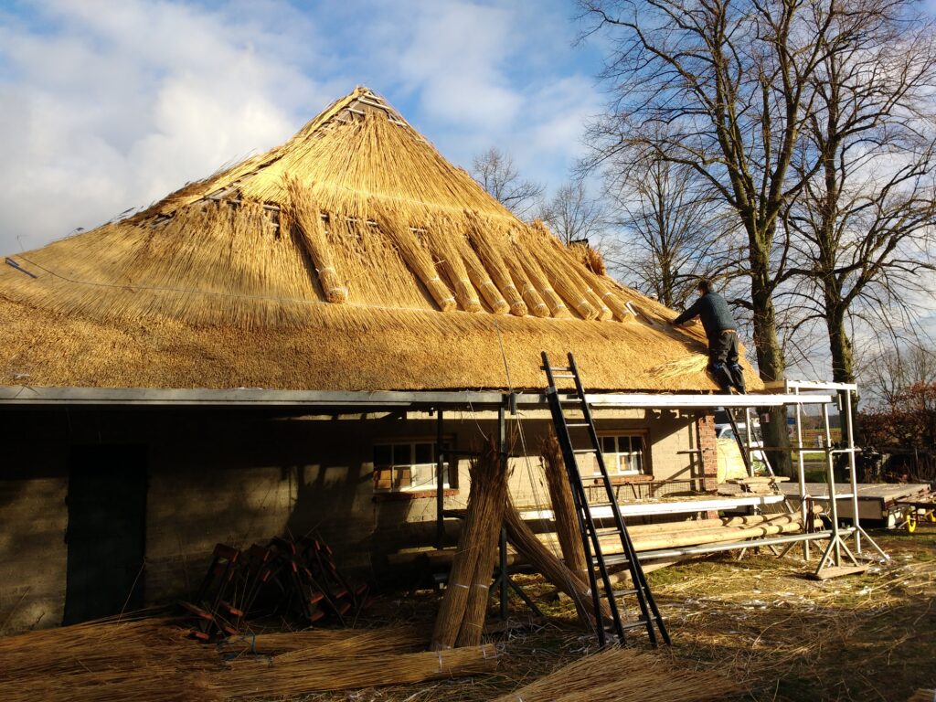Boerderij de Voort | ecologische verbouwing rieten dak in de Kempen