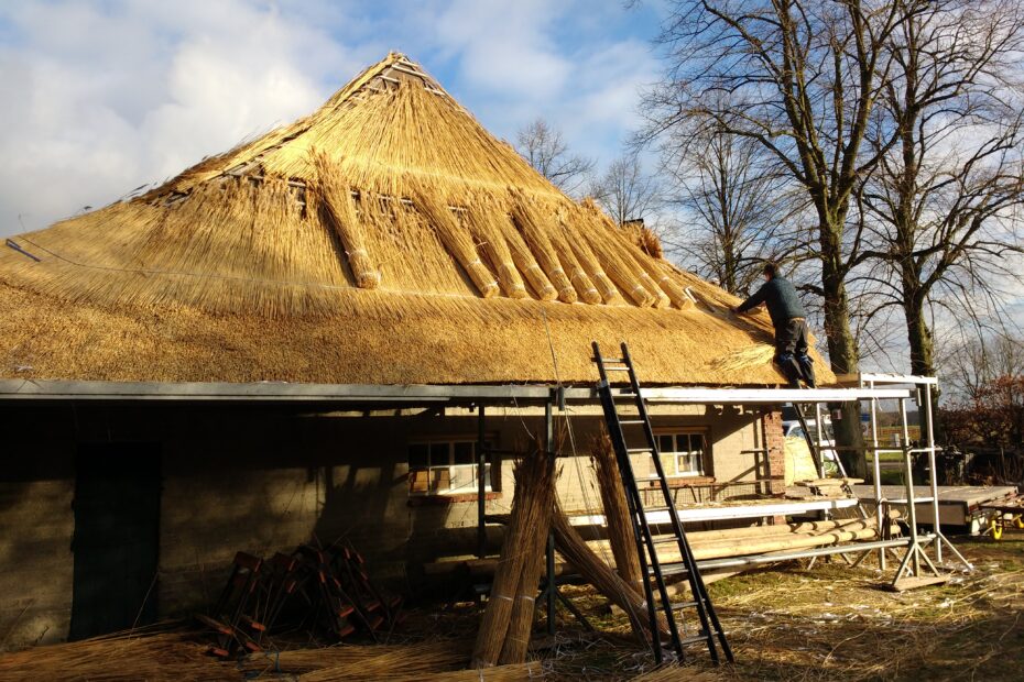 Boerderij de Voort | riet dekken