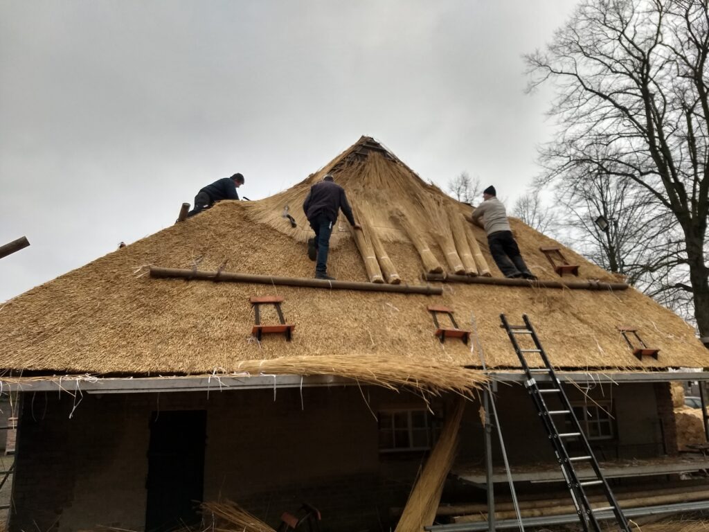 Boerderij de Voort | ecologische verbouwing rieten dak in de Kempen