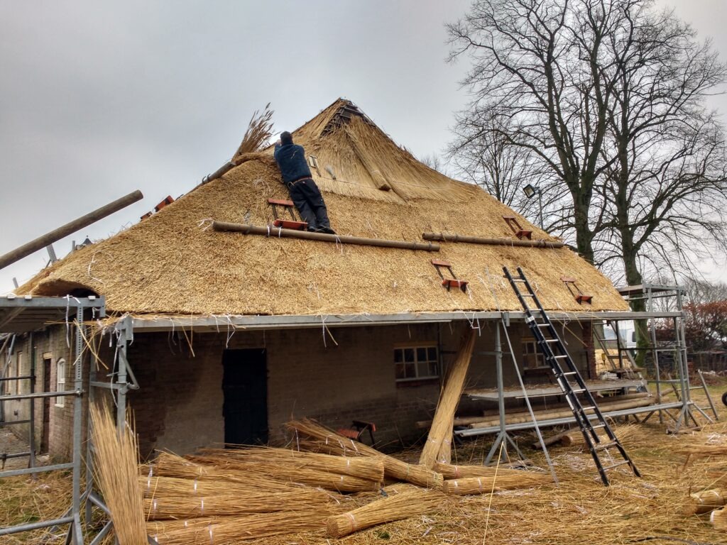 Boerderij de Voort | ecologische verbouwing rieten dak in de Kempen