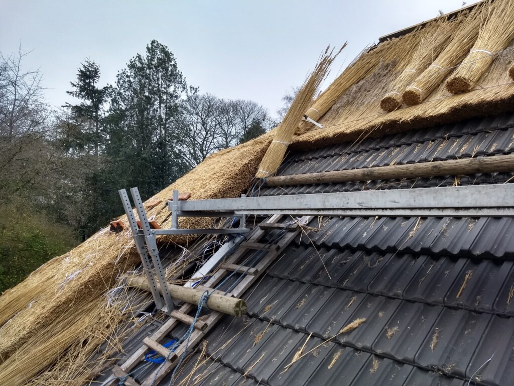 Boerderij de Voort | ecologische verbouwing rieten dak in de Kempen