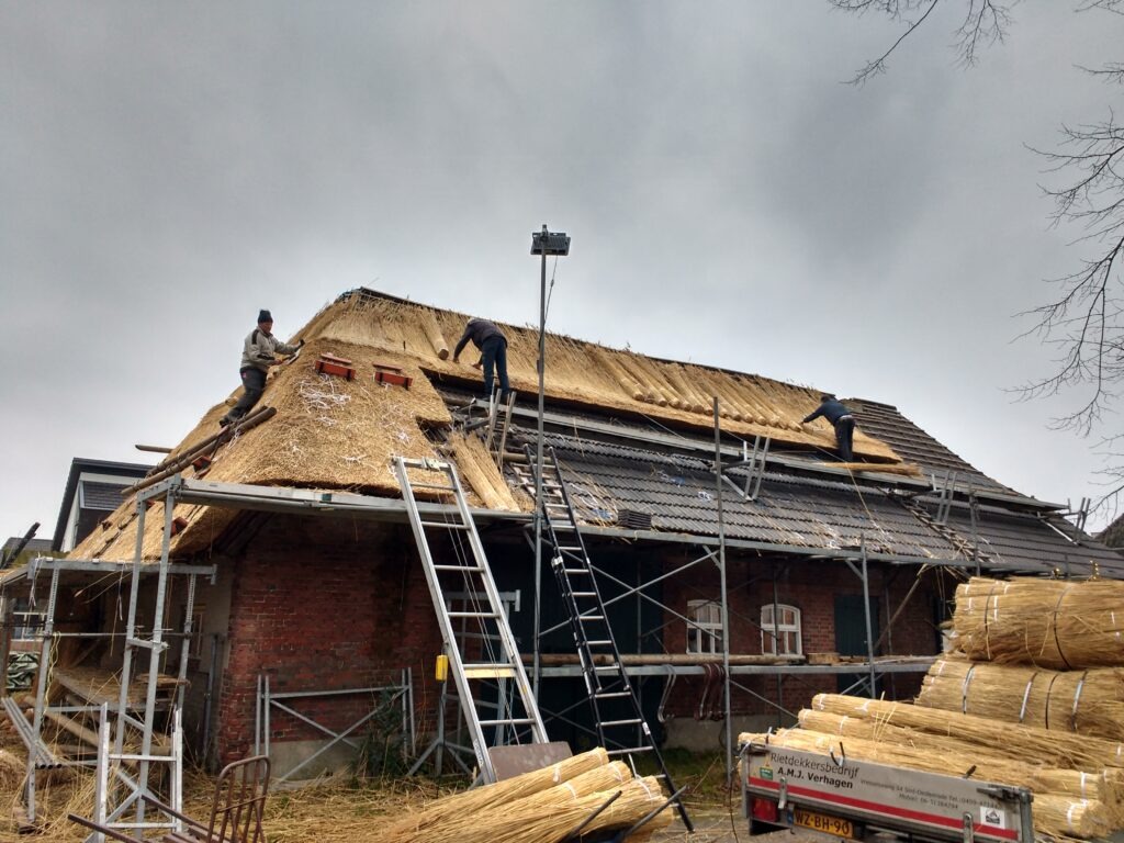 Boerderij de Voort | ecologische verbouwing rieten dak in de Kempen