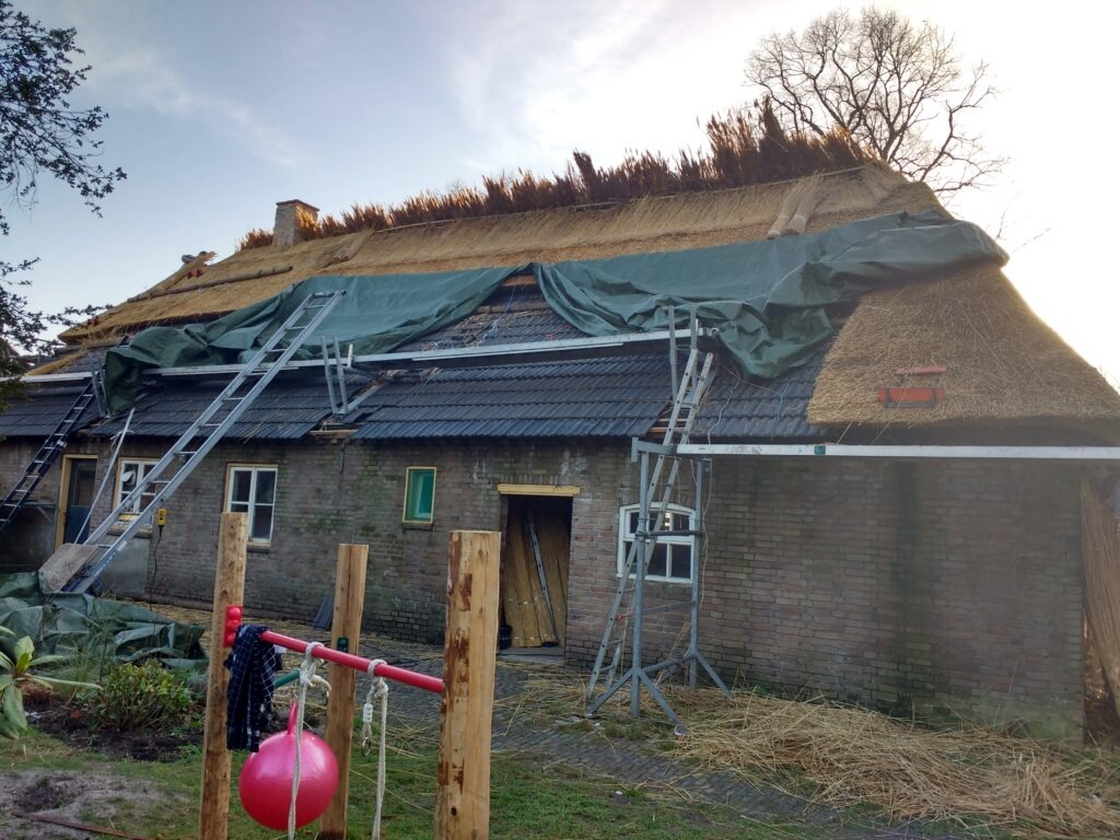 Boerderij de Voort | ecologische verbouwing rieten dak in de Kempen