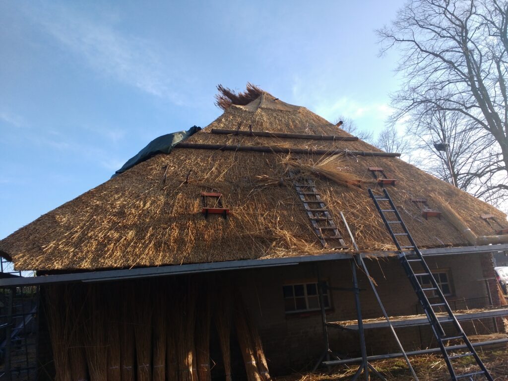 Boerderij de Voort | ecologische verbouwing rieten dak in de Kempen