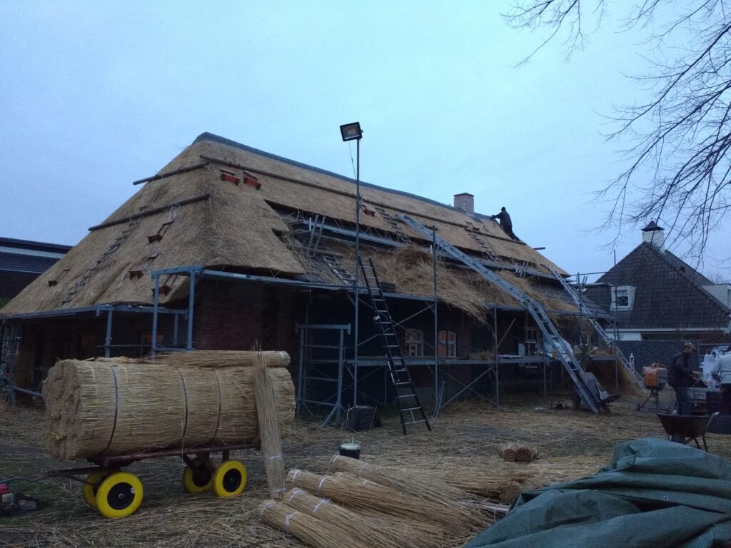 Boerderij de Voort | ecologische verbouwing rieten dak in de Kempen