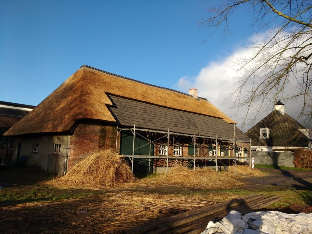 Boerderij de Voort | ecologische verbouwing rieten dak in de Kempen