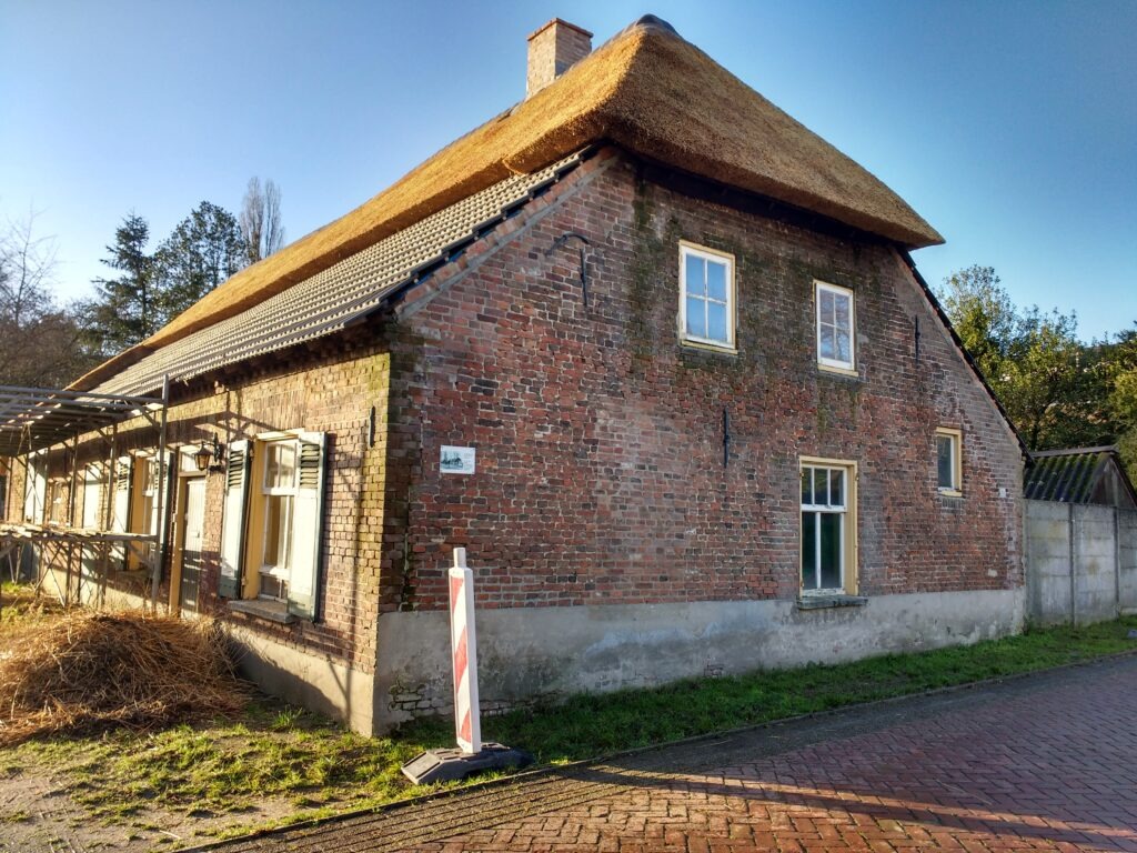 Boerderij de Voort | ecologische verbouwing rieten dak in de Kempen