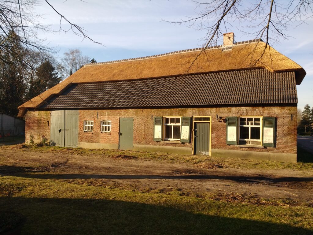 Boerderij de Voort | ecologische verbouwing rieten dak in de Kempen